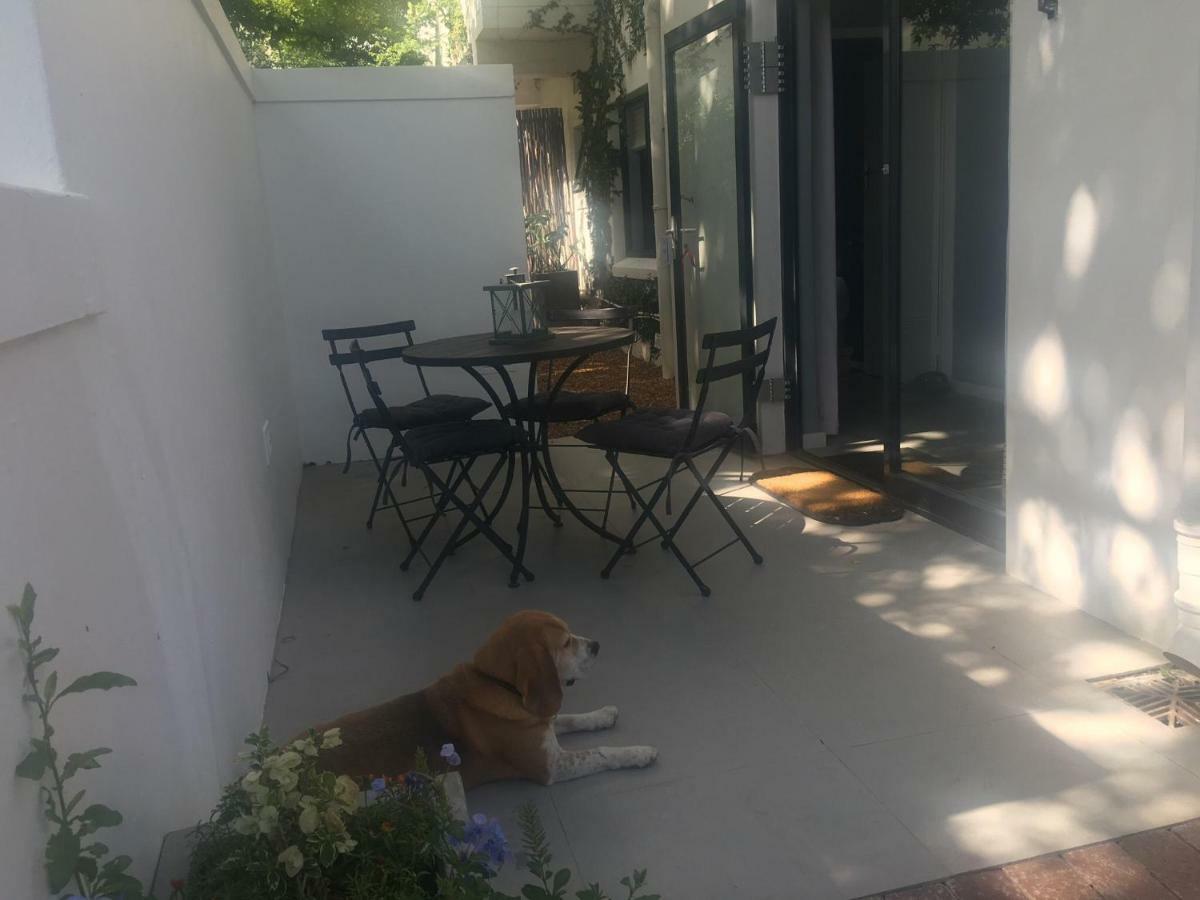 Table Mountain Guest Cottage With Private Garden Cape Town Bagian luar foto